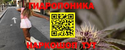 jwh Лесосибирск