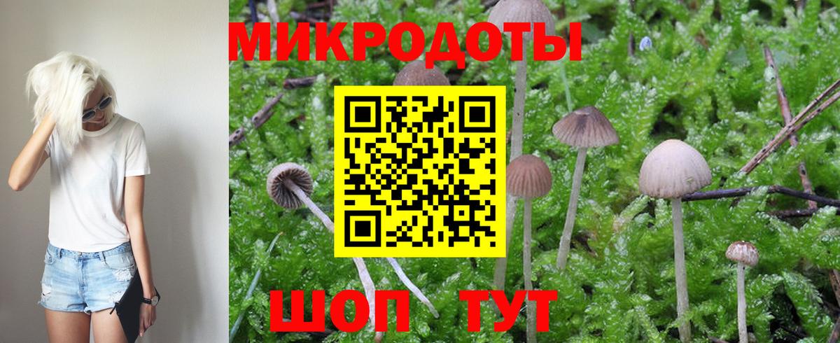 Йошкар-Ола  Псилоцибиновые грибы ЛСД  Галлюциногенные грибы ЛСД  Вход с VPN 